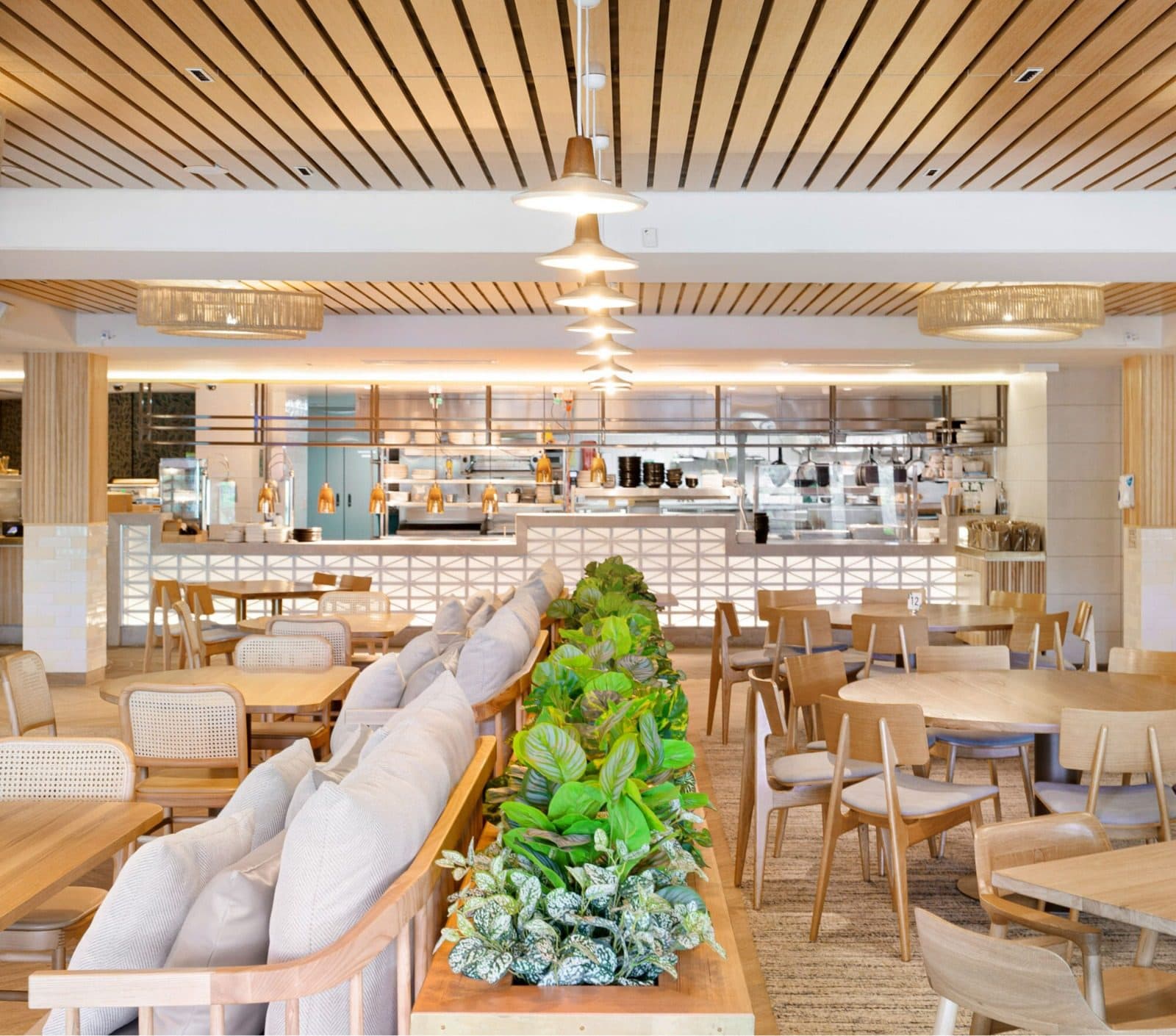 Lounge seating beside a planter under timber battens.