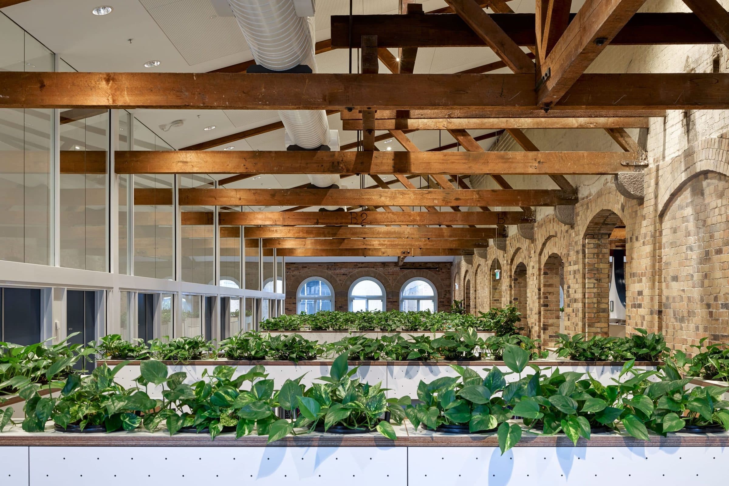 The open office under the restored heritage roof trusses, with planter benches.